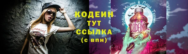 дмт Богданович