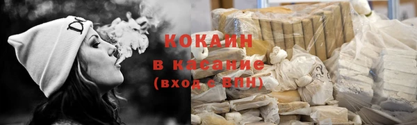 дмт Богданович