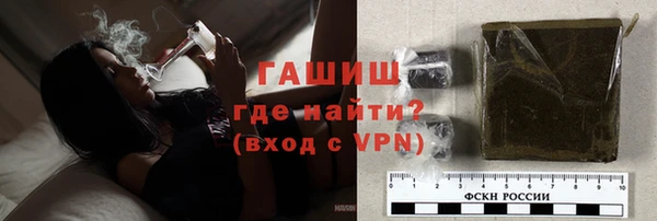 дмт Богданович