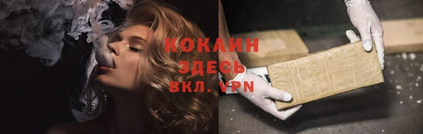 дмт Богданович