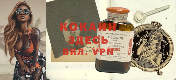 дмт Богданович