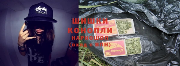 дмт Богданович