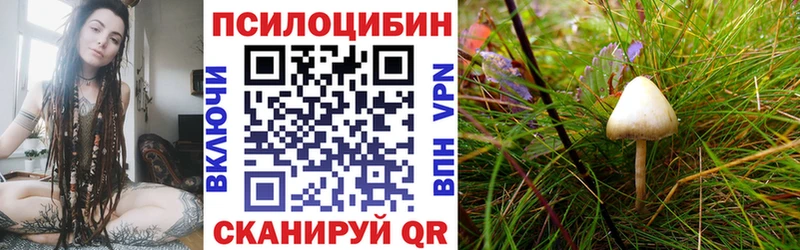 Галлюциногенные грибы мухоморы  blacksprut рабочий сайт  Мышкин 